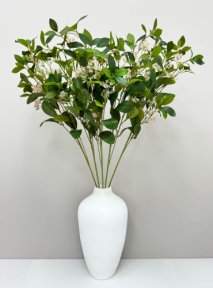 Цеанотус розовый 