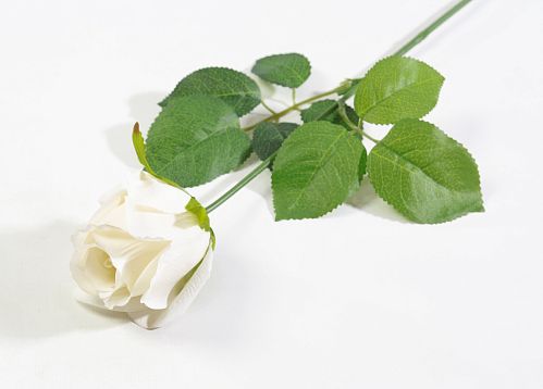 Роза с латексным покрытием белая от магазина KALINA являющийся официальным дистрибьютором в России 