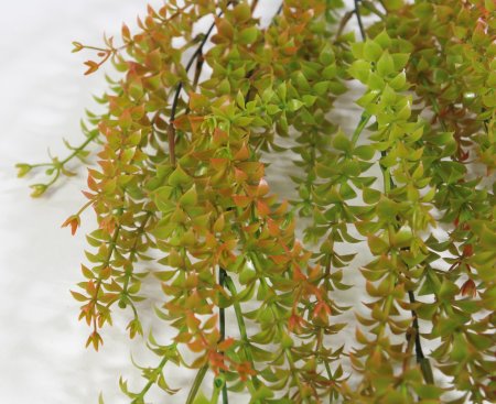 картинка Ампельная зелень "Эстрагон" 3 от магазина KALINA