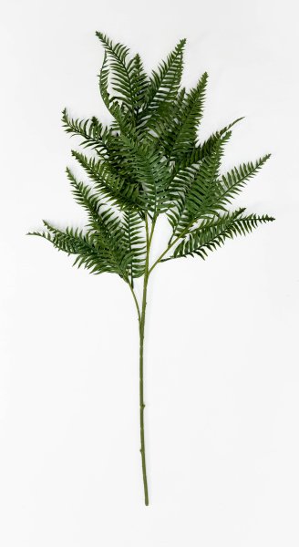 картинка Папоротник "Бостонский"  на высокой ноге от магазина KALINA