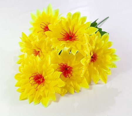 Астра "Великан" 6 веток