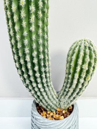 Кактус 45 см
