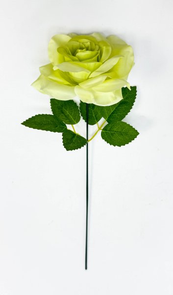 Роза штучка "Палома" зеленая