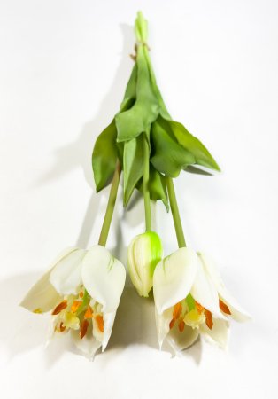 Тюльпан Саппоро (2+1) белый