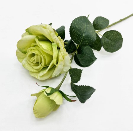 Роза "Булевард" зеленая