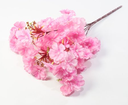 Букет яблони "Майя" 5 веток