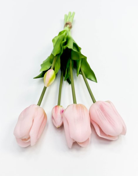 Тюльпан "Корона весны" нежно-розовый