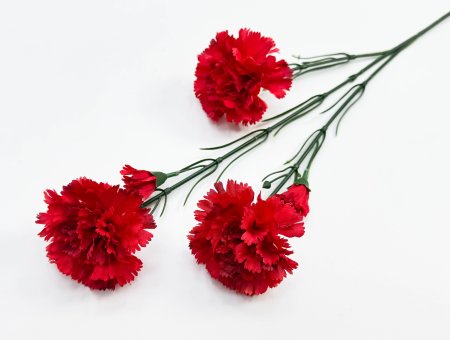 Гвоздика ветка "Степ"  3 цветка 2 бутона