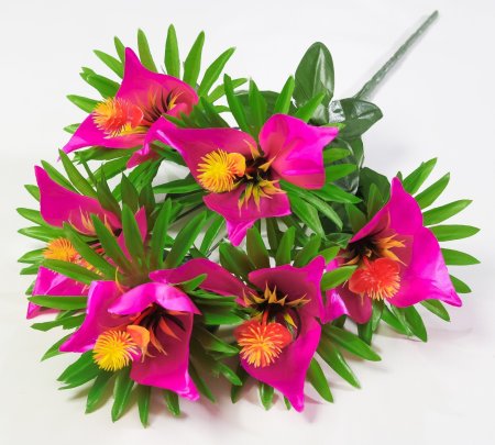 Букет лилий " Чудо" 6 цветков