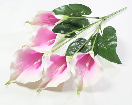 Букет калла 5 цветков от магазина KALINA являющийся официальным дистрибьютором в России 