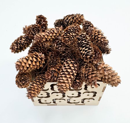 Шишка лиственницы 250 грамм