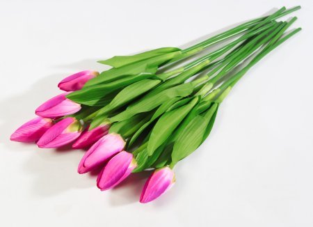 Тюльпан Былина