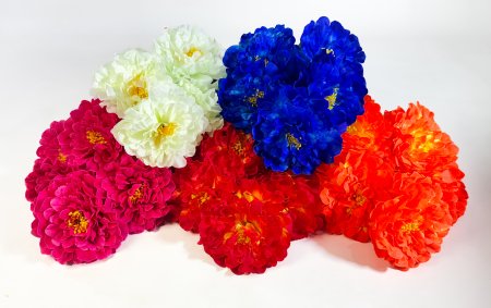 Пион " Муза" 6 веток 6 цветков