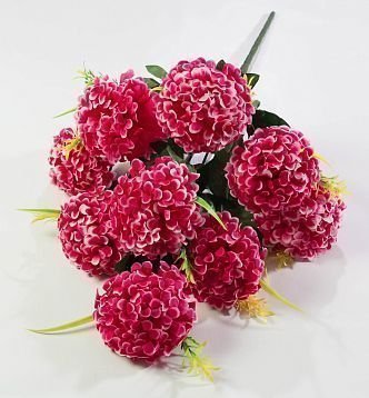 Шафран «Пурпур» 9 цветков от магазина KALINA являющийся официальным дистрибьютором в России 