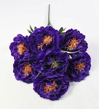 Пион "Натула" 7 цветков от магазина KALINA являющийся официальным дистрибьютором в России 