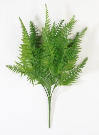 картинка Ветка кочедыжника от магазина KALINA