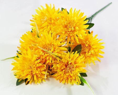 Астра "Бельгийская" 7 цветков