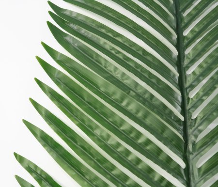 картинка Лист пальмы матовый 2 от магазина KALINA