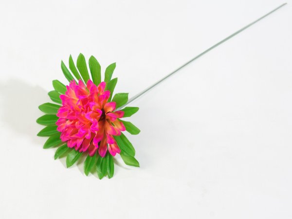 Хризантема штучка