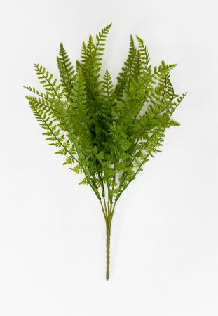 картинка Нефролепис возвышенный от магазина KALINA