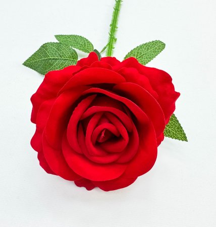 Роза "Почёт"