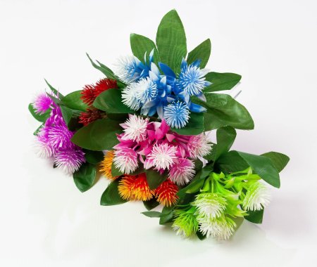 Репей садилка 5 цветков