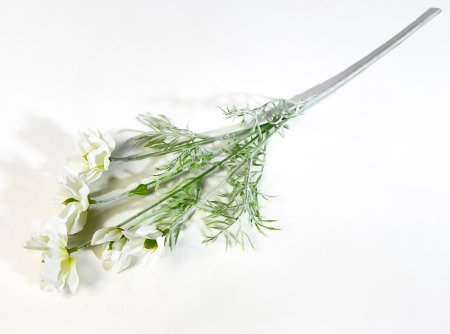 Клематис молочный