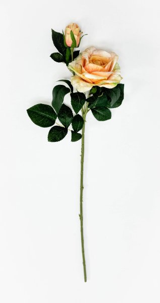 Роза "Булевард" персиковая