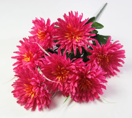 Астра "Бельгийская" 7 цветков