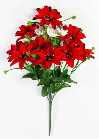 Бархатный георгин с ромашкой