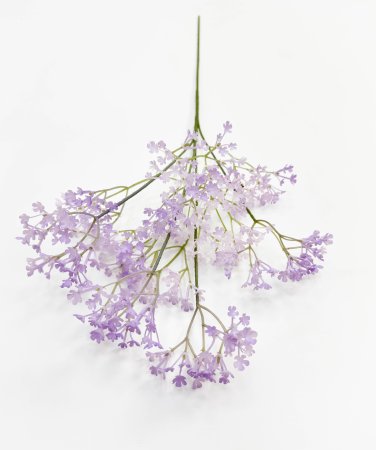 Гипсофила "Изящная" сиреневая