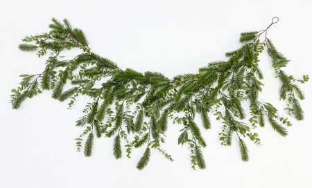 Лиана "Хвоя-эвкалипт"