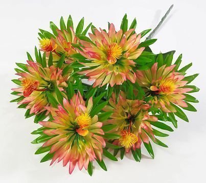 Астра "Юдо" 7 цветков от магазина KALINA являющийся официальным дистрибьютором в России 