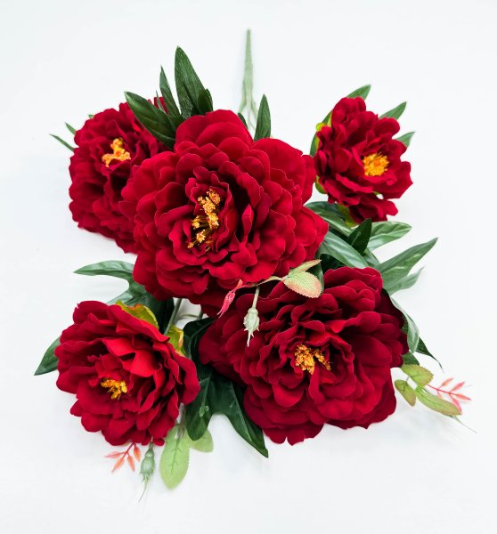 Пион "Хвала" 5 цветков
