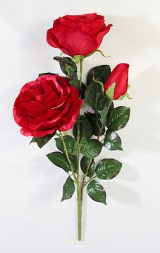 Ветка роз "Фан-фан"  от магазина KALINA являющийся официальным дистрибьютором в России 