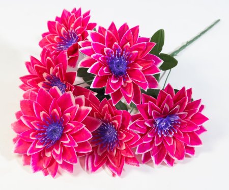 Букет астр Махровая смесь 6 цветков