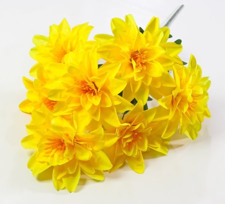 Георгин "Вилена" 7 цветков