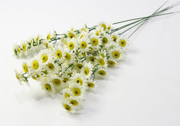 Ветка ромашек "Суприм"