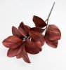 Ветка магнолии Поздняя осень 17 листов
