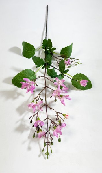 Дейция гибридная розовая