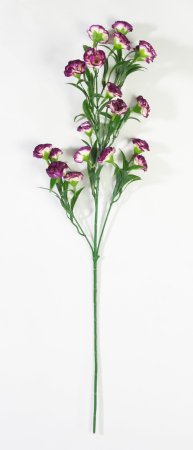 Ветка гвоздики 20 цветков Византия