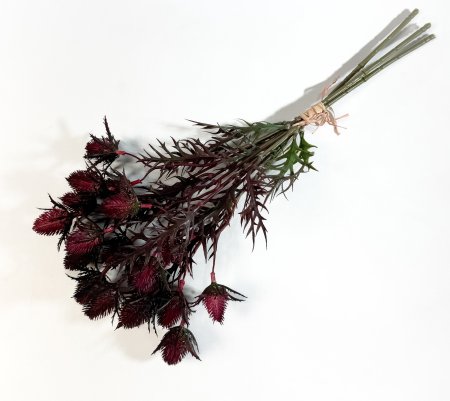 Эрингиум бордо