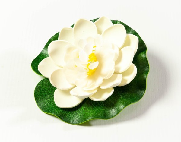 Кувшинка  маленькая