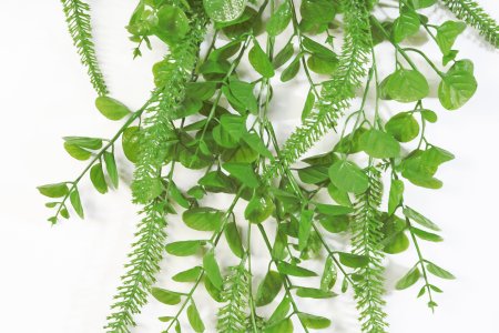 картинка Ампельная зелень Гранни от магазина KALINA