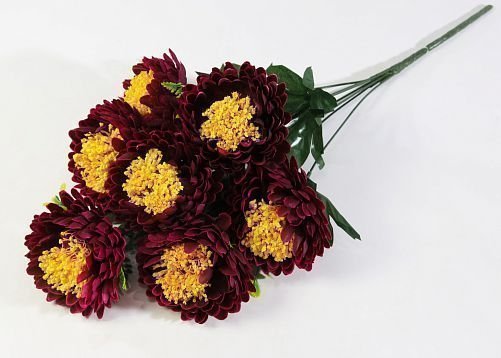 Астра "Алёна" 7 цветков от магазина KALINA являющийся официальным дистрибьютором в России 