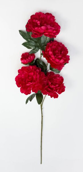 Пион "Афродита" 4 цветка 1 бутон