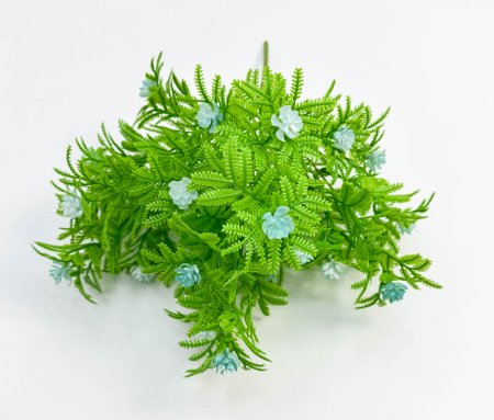 Букет "Катюша" 5 веток голубой