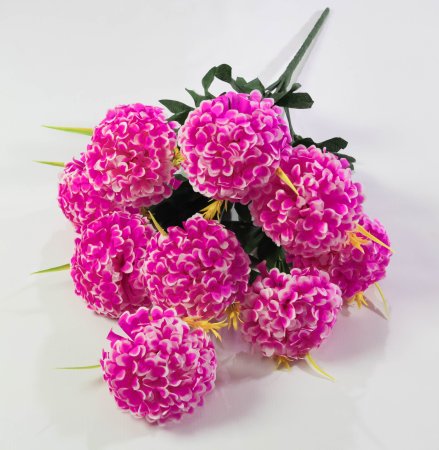 Шафран «Пурпур» 9 цветков