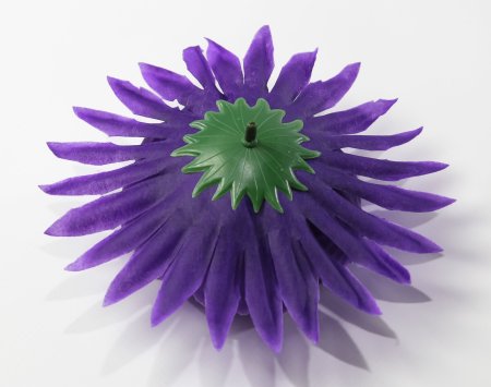 Насадка пиона Парижанка