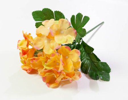 0031c9aeb99984bef42a22bb6557d7df